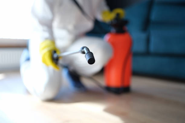 Best Indoor Air Quality Assessment  in Wortham, TX